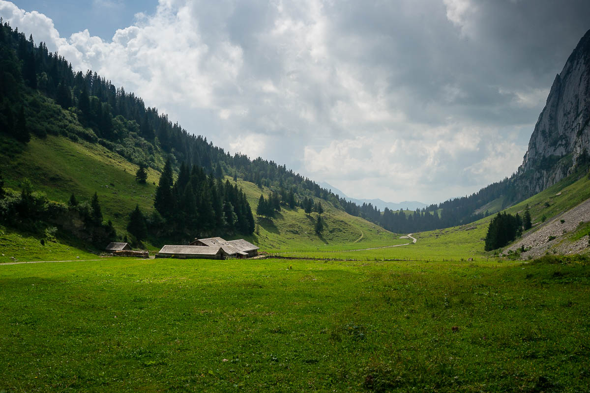 Säntis - Lisengrat - Altmann - Wildhaus