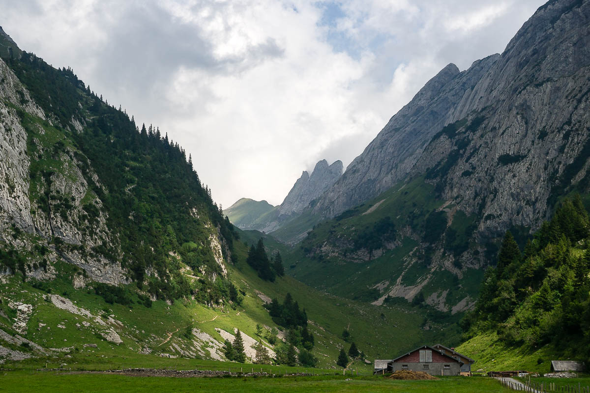Säntis - Lisengrat - Altmann - Wildhaus