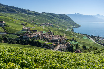 Wanderung durch das Lavaux von Lutry nach St. Saphorin am 13. September 2011