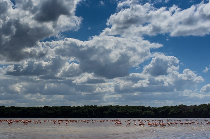 Reise nach Merida/Yucatán/Merida mit der ganzen Familie vom 12. - 25. November 2012.