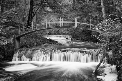Wasser im Wald (Schwarzweiss)