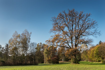 Herbst am Katzensee