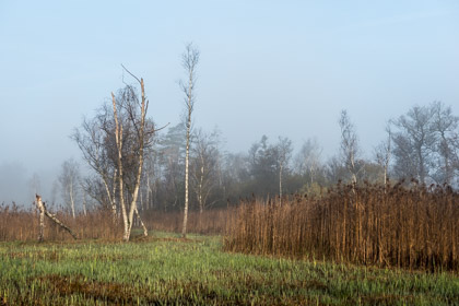 Herbst am Katzensee