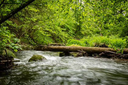 Frühling am Furtbach